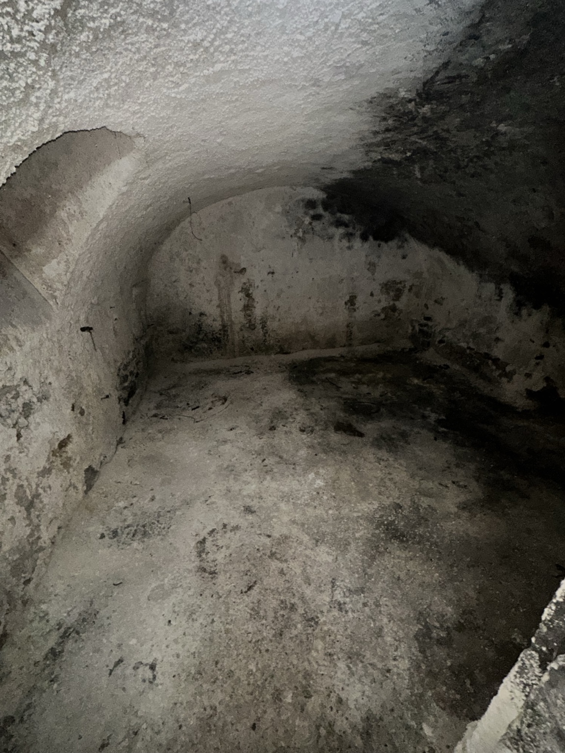 Cave humide à Versailles : que révèlent des traces noires, du salpêtre et une voûte dégradée ?